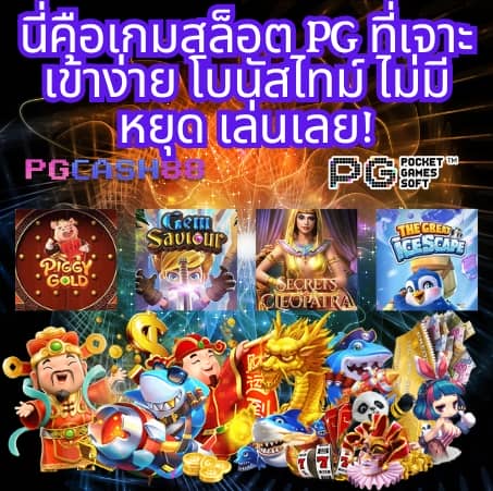 imi555 เข้า ระบบ